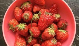 草莓果酱娱乐吃瓜君