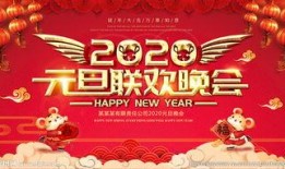 爆料元旦晚会视频大全,揭秘各大卫视视频大全